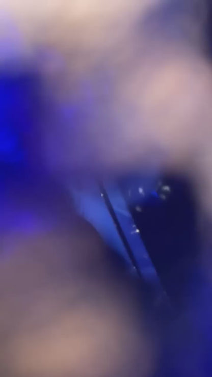 Bleu